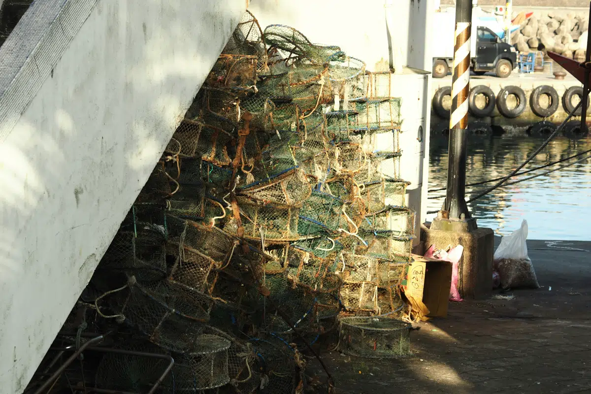 Crab and shellfish pots staged on a Pacific coast pier