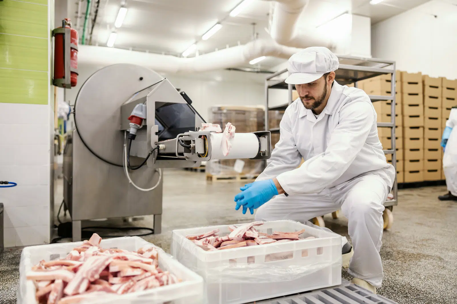Processor packing fish in a cold room
