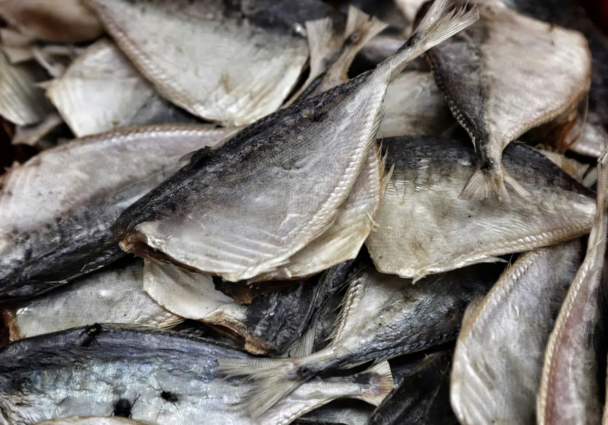 Dried and frozen seafood product prepared for the export market