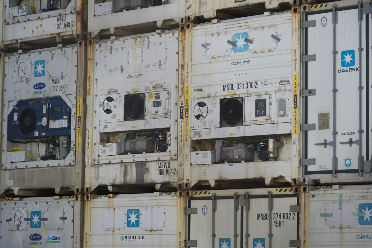 Stacked refrigerated shipping containers at a terminal