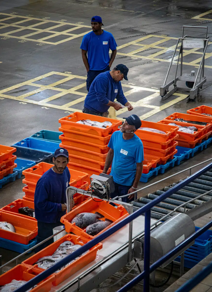 Workers moving crated seafood through a plant